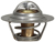 1450696|THERMOSTAT/GASKET